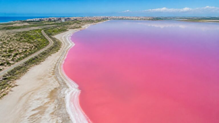 The-Pink-Lake-of-Torrevieja-Laguna-de-Torrevieja